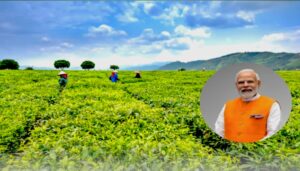 PM Kisan 20th Installment Date 2025